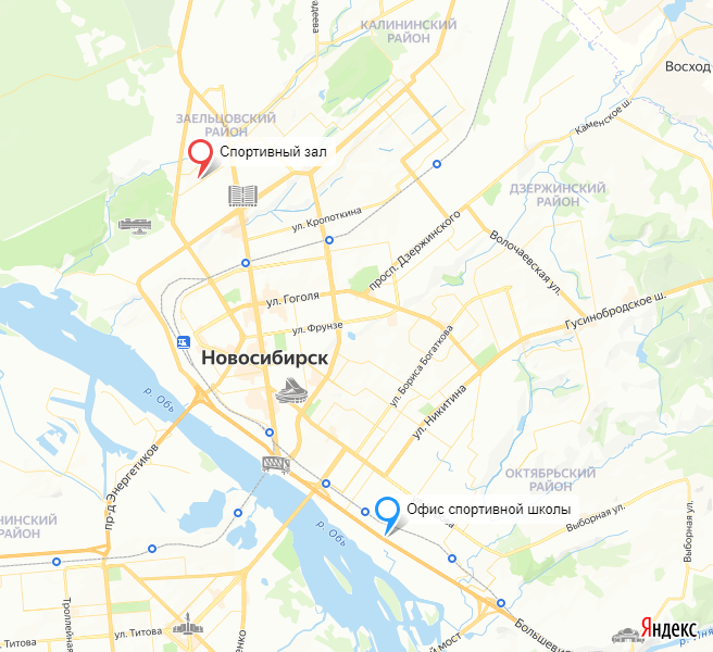 gau_do_nso_sportivnaya_shkola_edinoborstv_23-11-2024_12-16-26.png