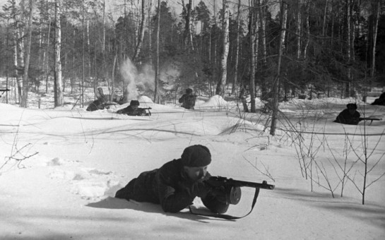 Бой в районе Дубосеково (Волоколамский район). Ноябрь 1941 года.